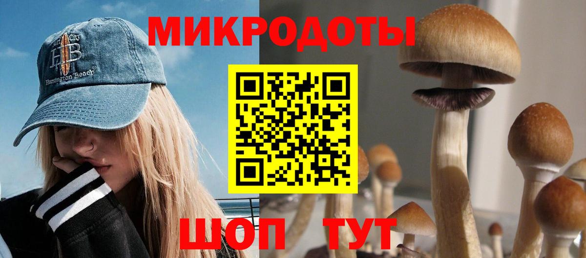 купить   Вход с VPN  Москва  Псилоцибиновые грибы GOLDEN TEACHER  Галлюциногенные грибы Psilocybe 